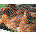 Rede de arame sextavada do aumento da galinha